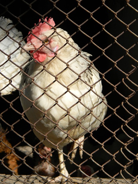 确保球员在 确保球员在