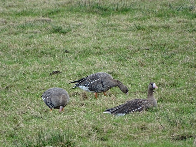特别是如何 特别是如何