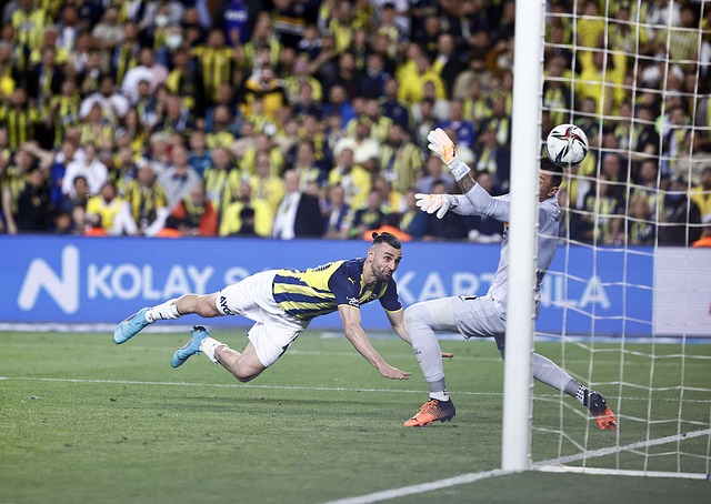 的化学反应 的化学反应