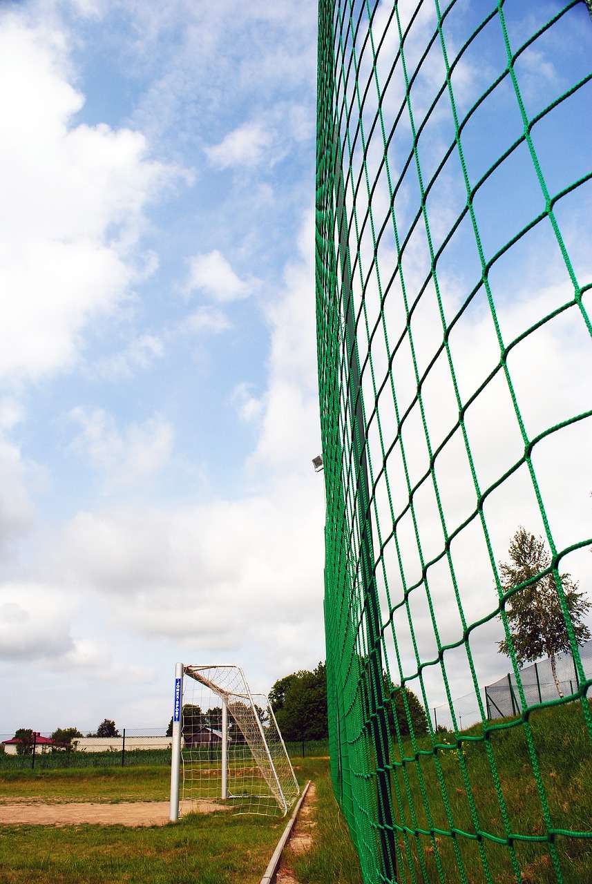 的進攻多樣 的進攻多樣