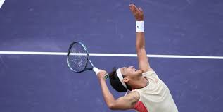 两名明星球 两名明星球